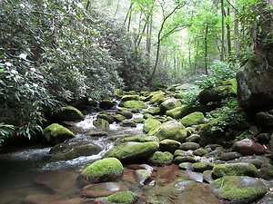 About Counselling. Rocky stream