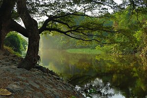 About Counselling. Calm River